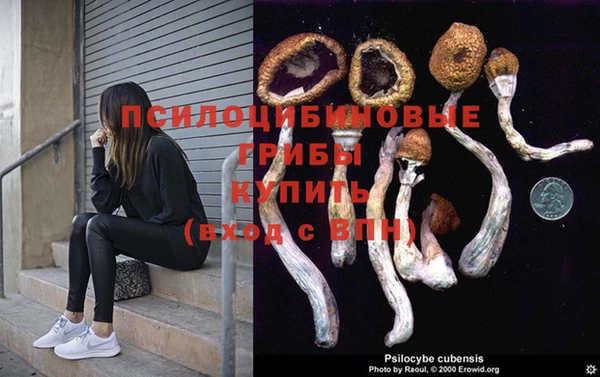 каннабис Алзамай